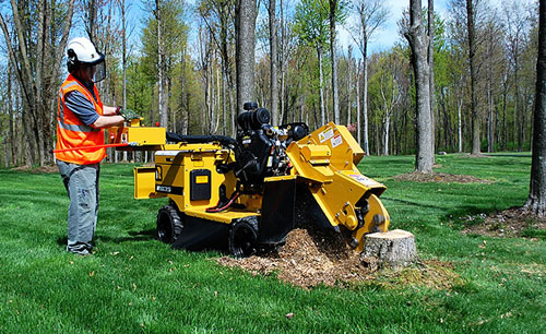 #1 Stump Grinding Loudoun County Va, Clarke County Va, and Frederick County Va