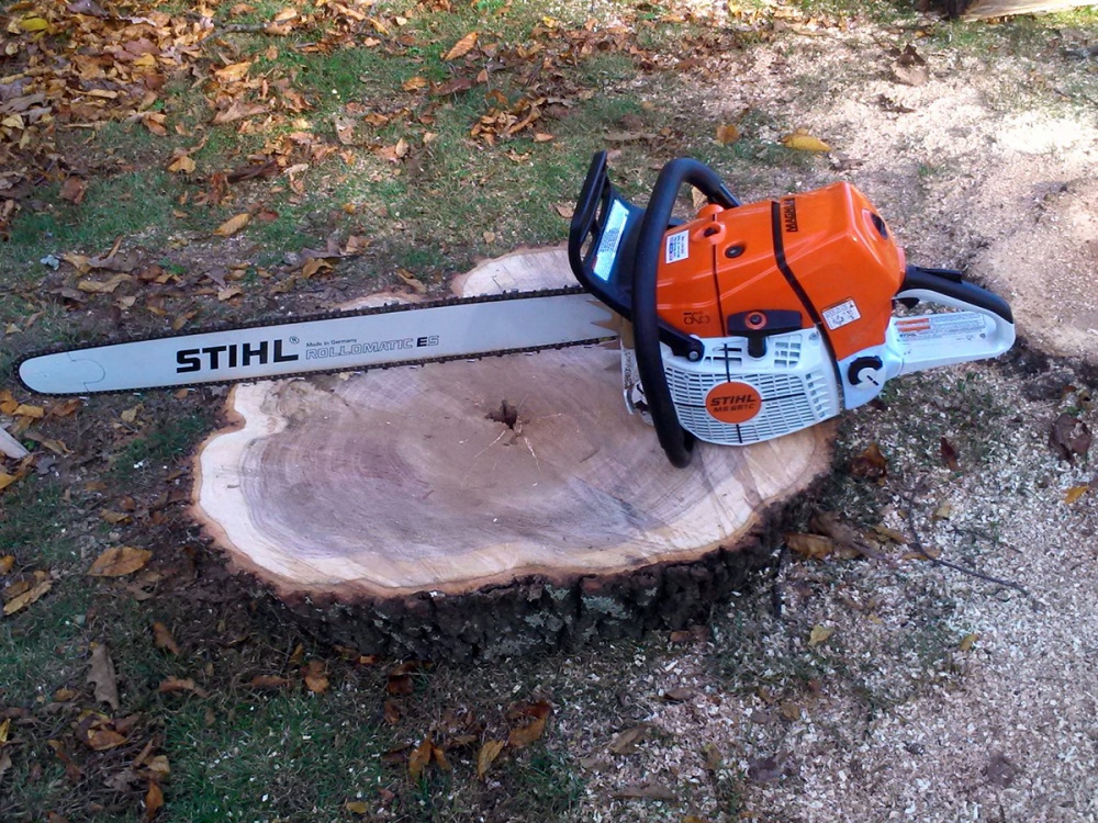 Top-Rated Tree Removal Loudoun County Va, Clarke County Va, and Frederick County Va