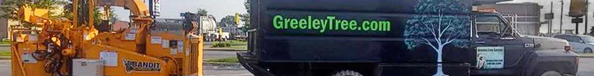 Greeley Tree Service