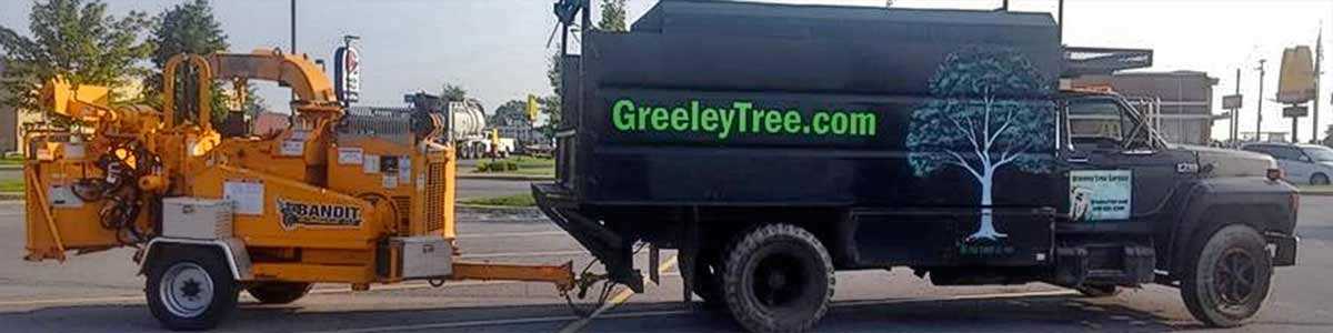 Safe Local Tree Service