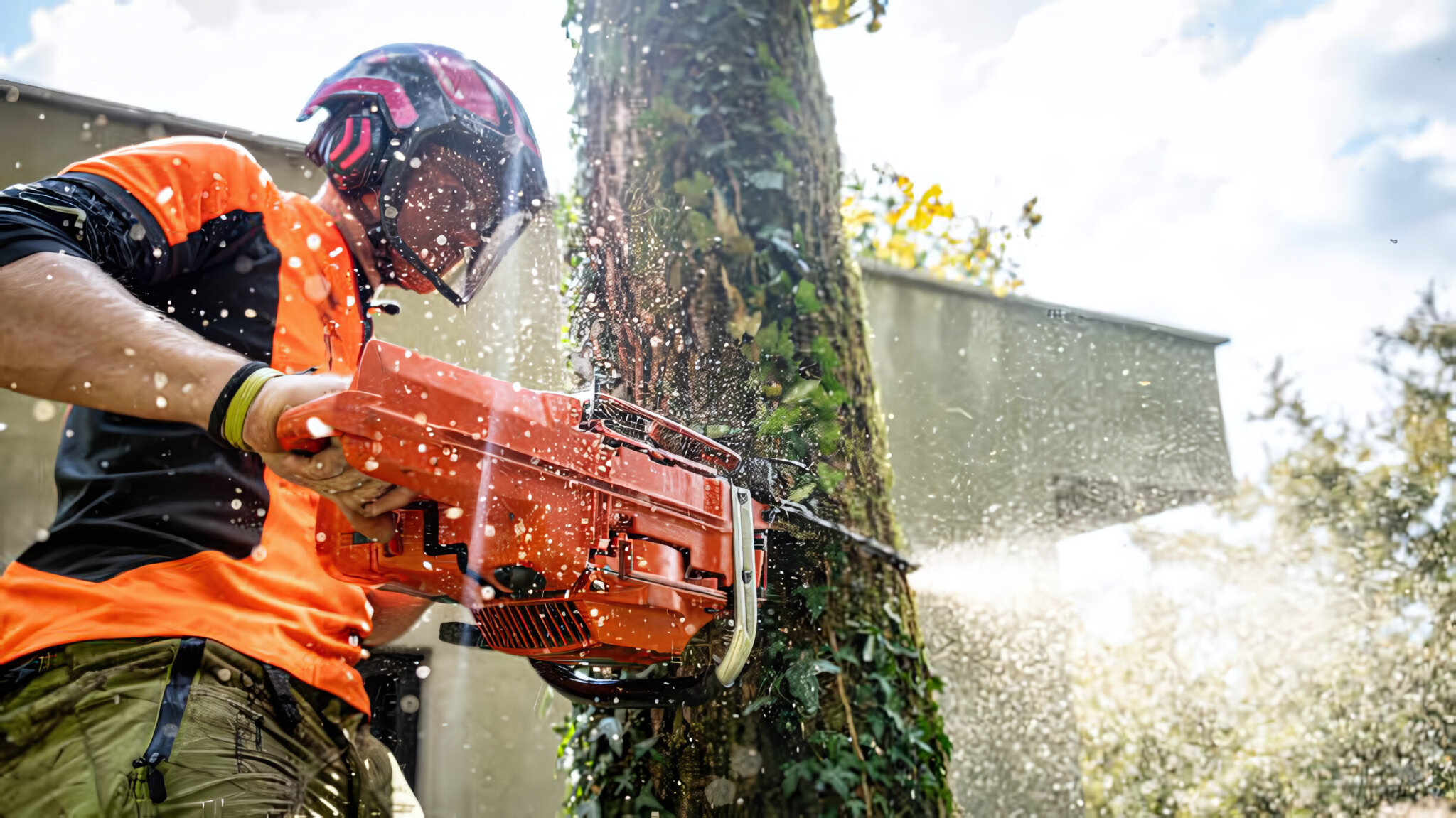 expert-tree-servicing