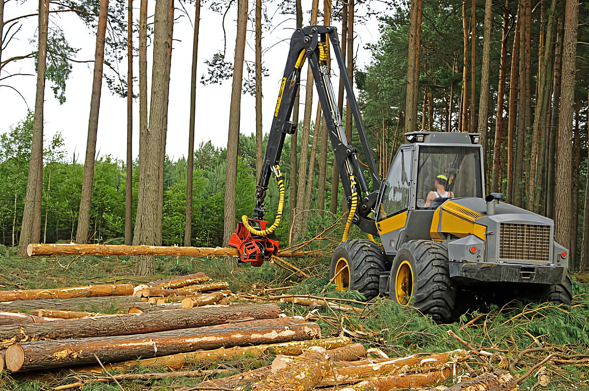 expert-tree-servicing