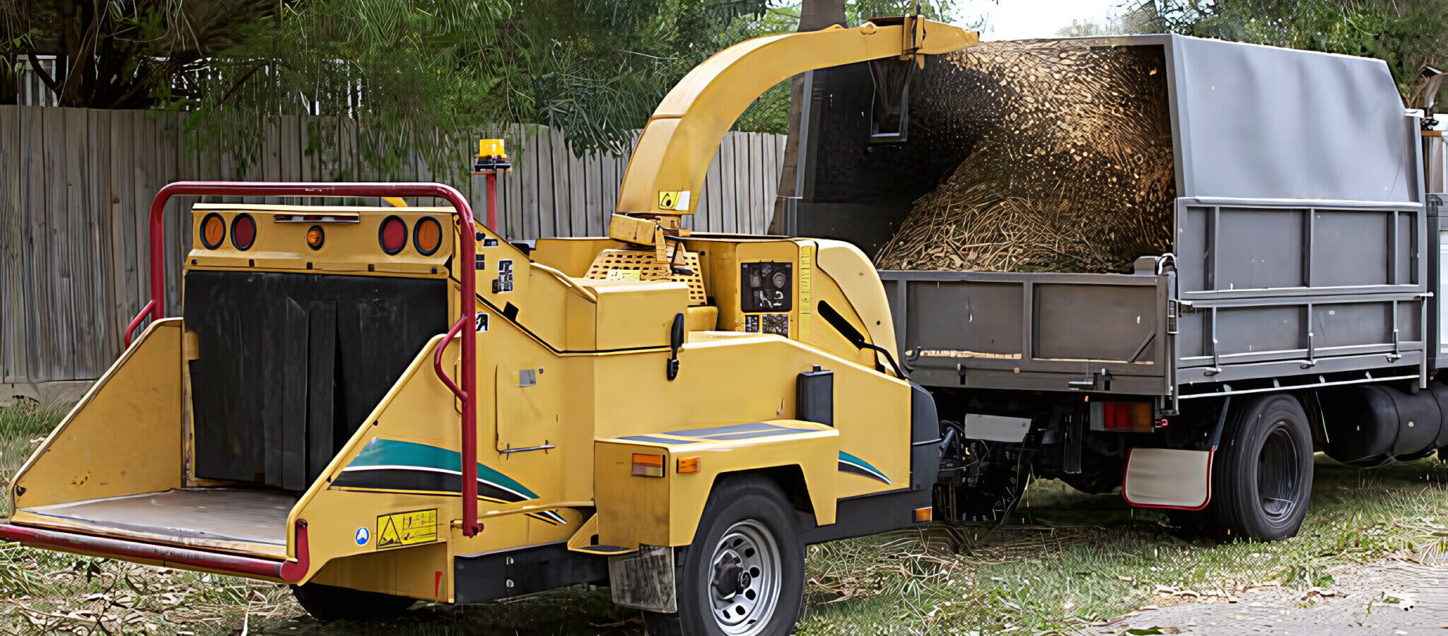 expert-tree-servicing
